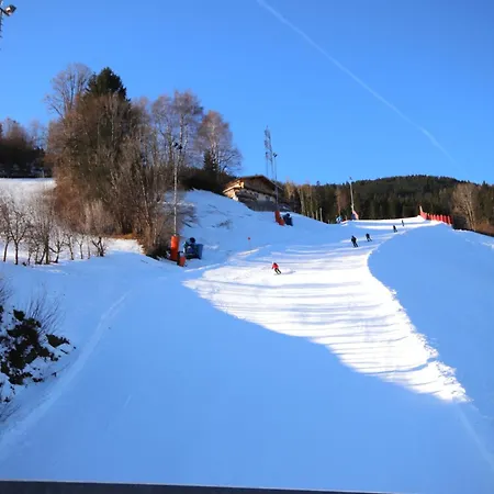 Lejlighed Punggerhof By Interhome